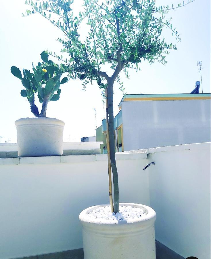 Dimora Asmara 11 15 Apartment Brindisi Ngoại thất bức ảnh